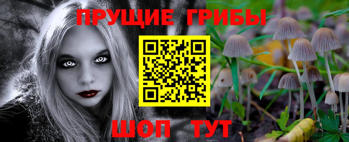 Красноармейск  Псилоцибиновые грибы мухоморы  закладка  Вход с VPN 